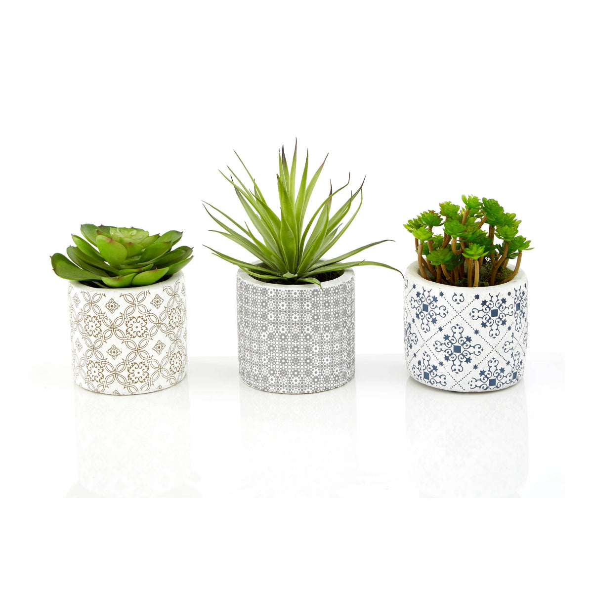 Set of 3 Succulents in Henna Pots