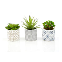 Set of 3 Succulents in Henna Pots