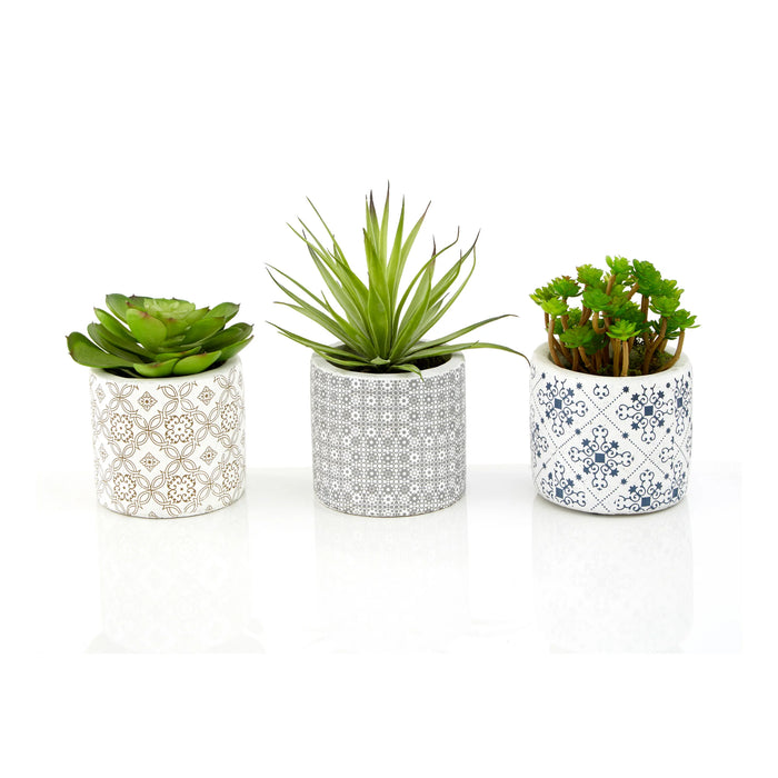 Set of 3 Succulents in Henna Pots