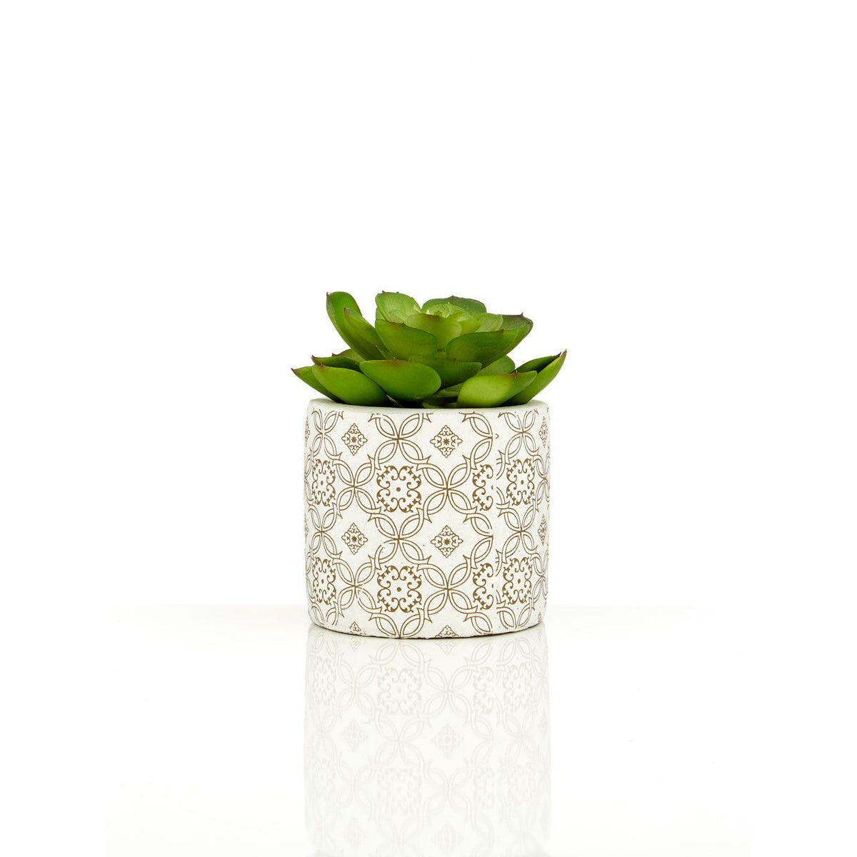 Set of 3 Succulents in Henna Pots
