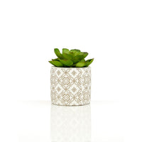 Set of 3 Succulents in Henna Pots