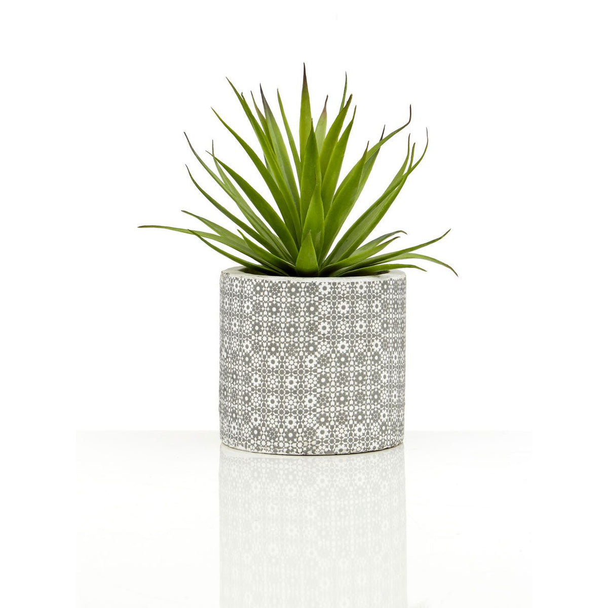 Set of 3 Succulents in Henna Pots