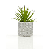 Set of 3 Succulents in Henna Pots