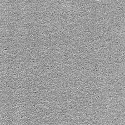 iSense Surprise Carpet