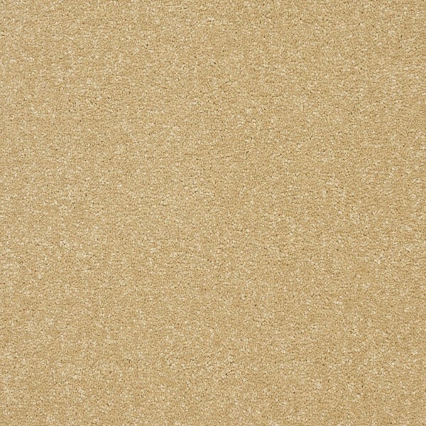Smart Atilius Carpet