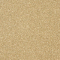 Smart Atilius Carpet