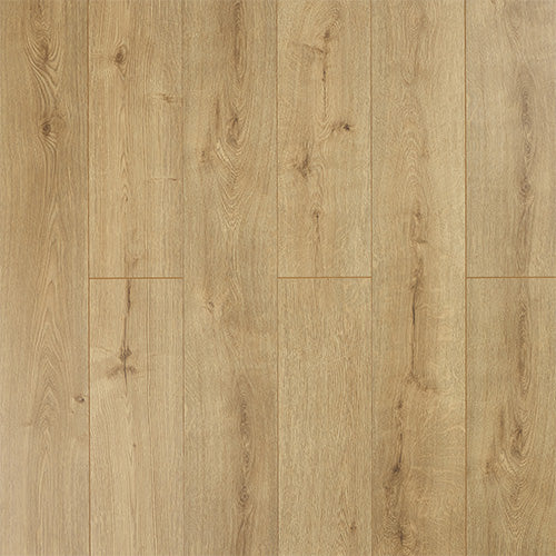 Sylvain 12mm Laminate
