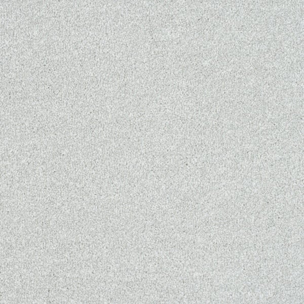 Smart Atilius Carpet