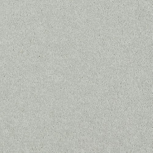 New Ambience Carpet