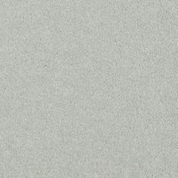 New Ambience Carpet