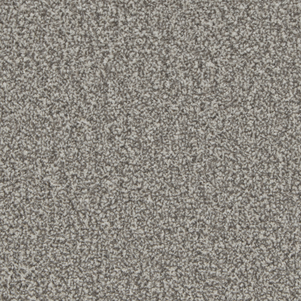 Portmore Elite 42oz Carpet