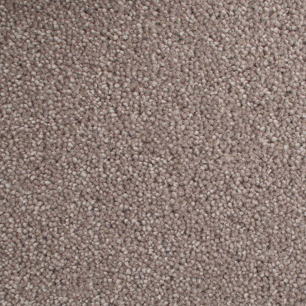Highgate 50oz Carpet