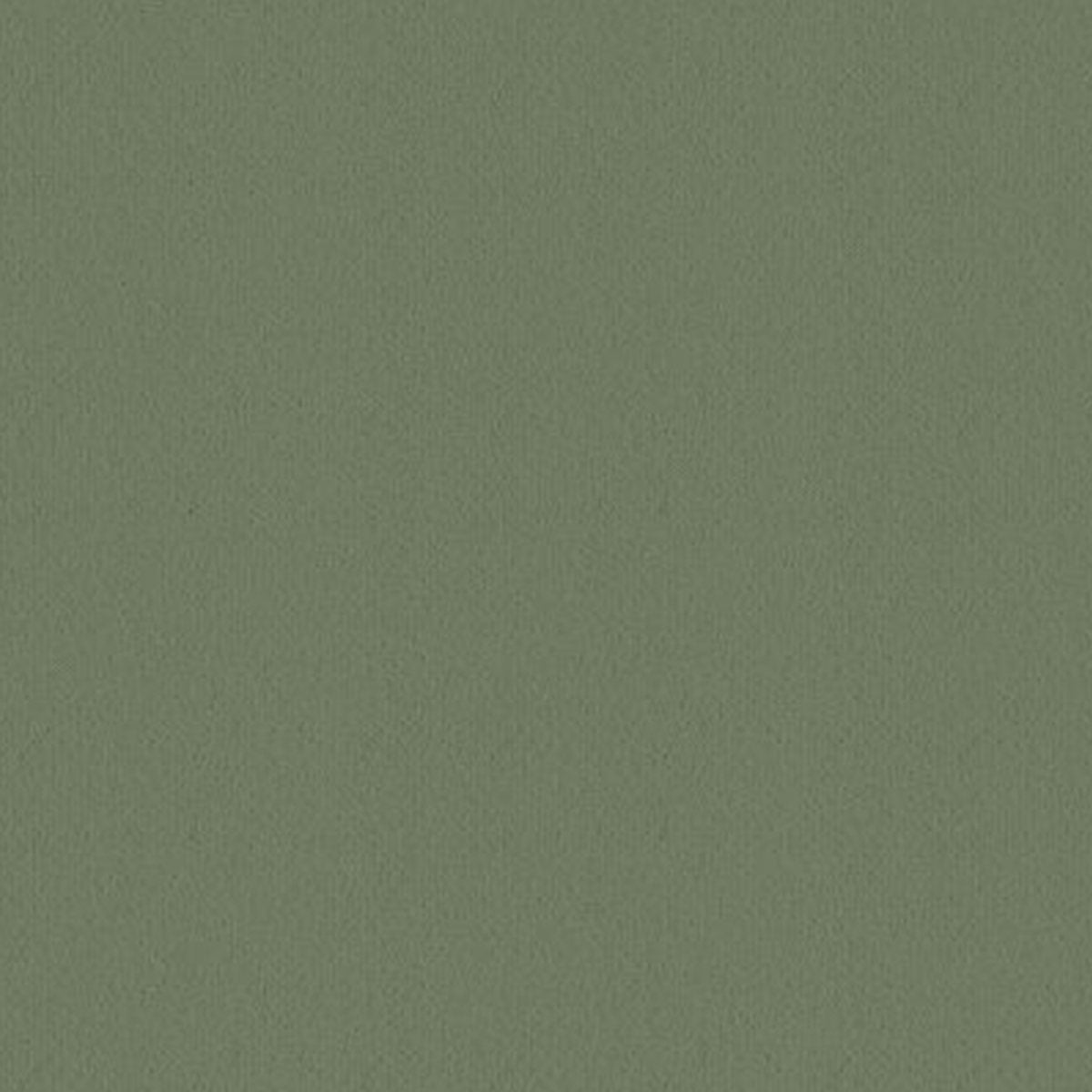 Velvet Carpet - Ulster