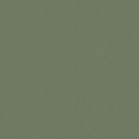 Velvet Carpet - Ulster