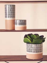 Jada Striped Vases