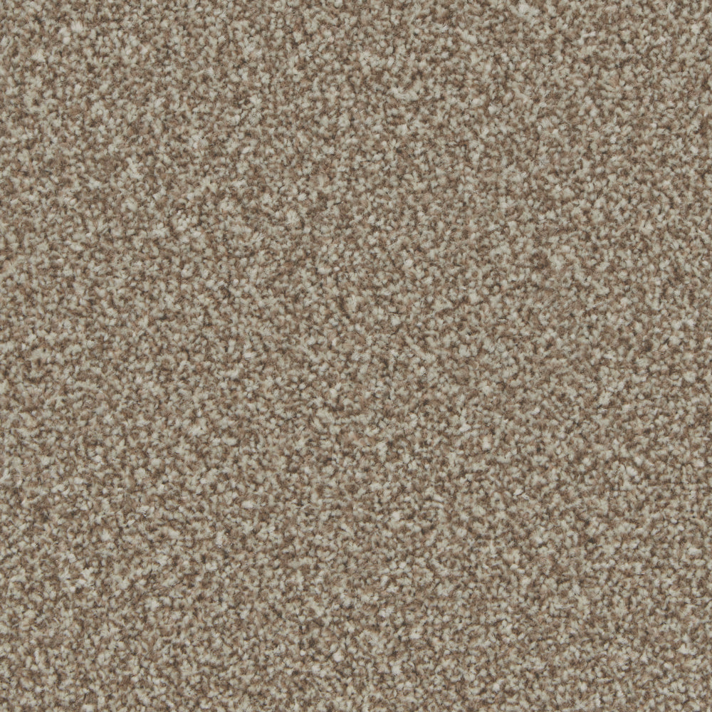 Portmore Classic 34oz Carpet