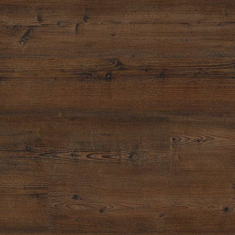 Polyflor Colonia LVT Flooring