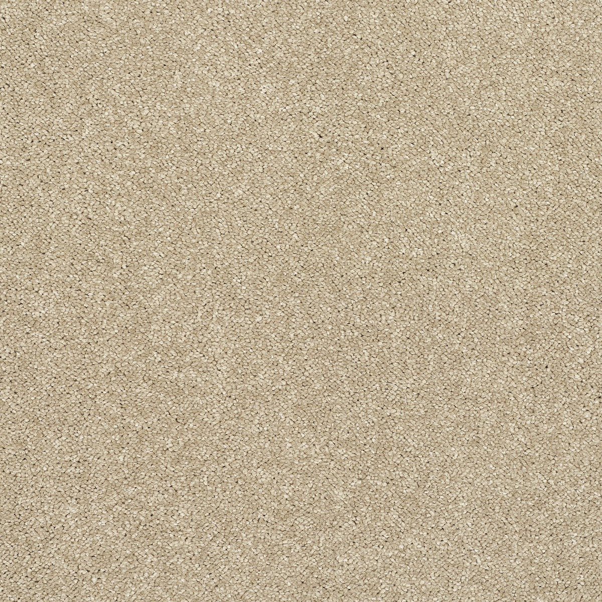Finesse Carpet