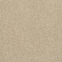 Finesse Carpet