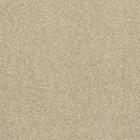 Caress Carpet