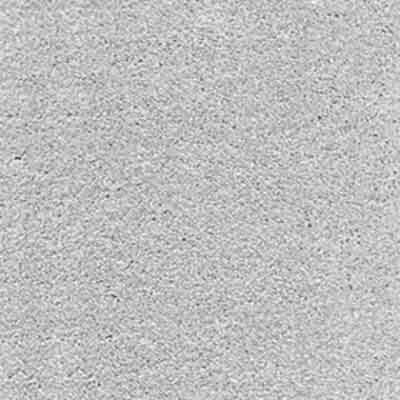 iSense Surprise Carpet