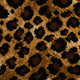 Safari Carpet Collection