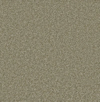 Woodland Carpet