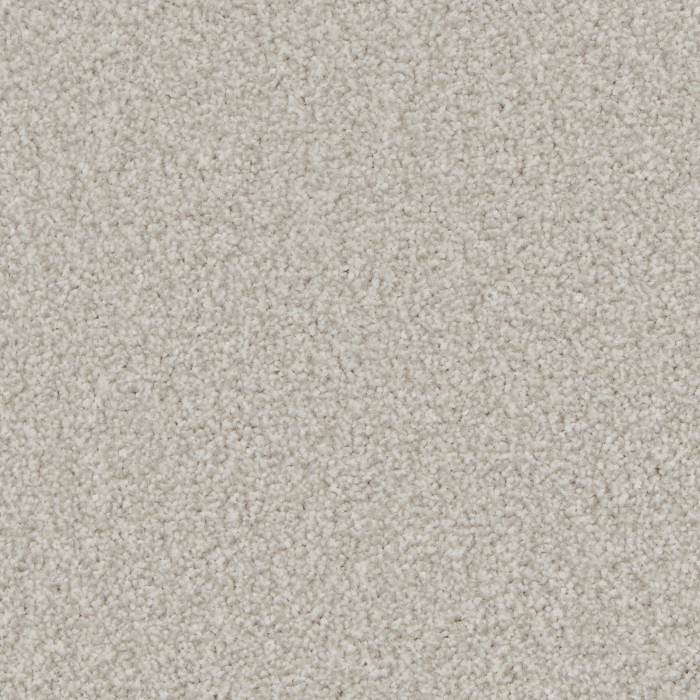 Portmore Classic 34oz Carpet
