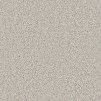 Portmore Classic 34oz Carpet