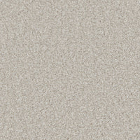Portmore Elite 42oz Carpet