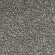Septimus Carpet