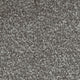Invictus Severus Carpet