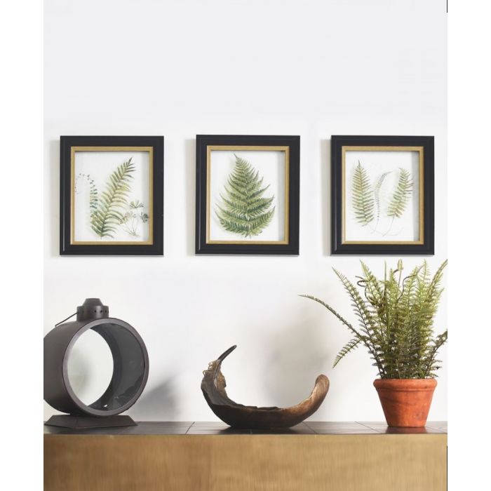 Alpini Botanical Wall Art Trio