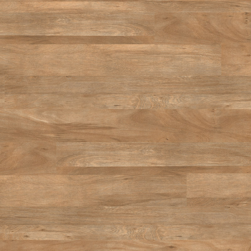Polyflor Colonia LVT Flooring