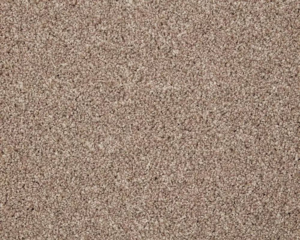 Smart Amazon Carpet