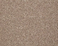 Smart Amazon Carpet