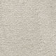 iSense Splendour Carpet