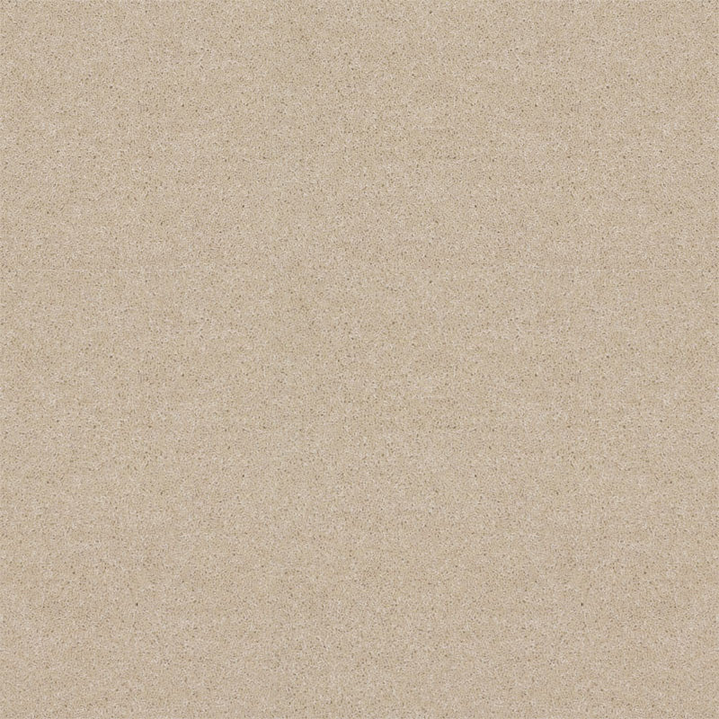 Spectrum Twist Regal 53oz Carpet