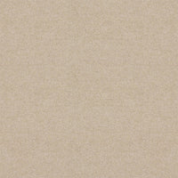 Spectrum Twist Regal 53oz Carpet