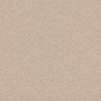 Spectrum Twist Classic 42oz Carpet