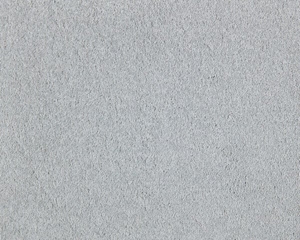 Affectionate Touch Carpet