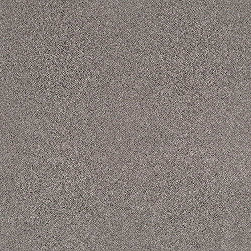 Pandora Carpet