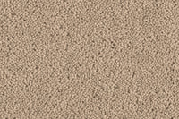 Grange Wilton Carpet - Ulster