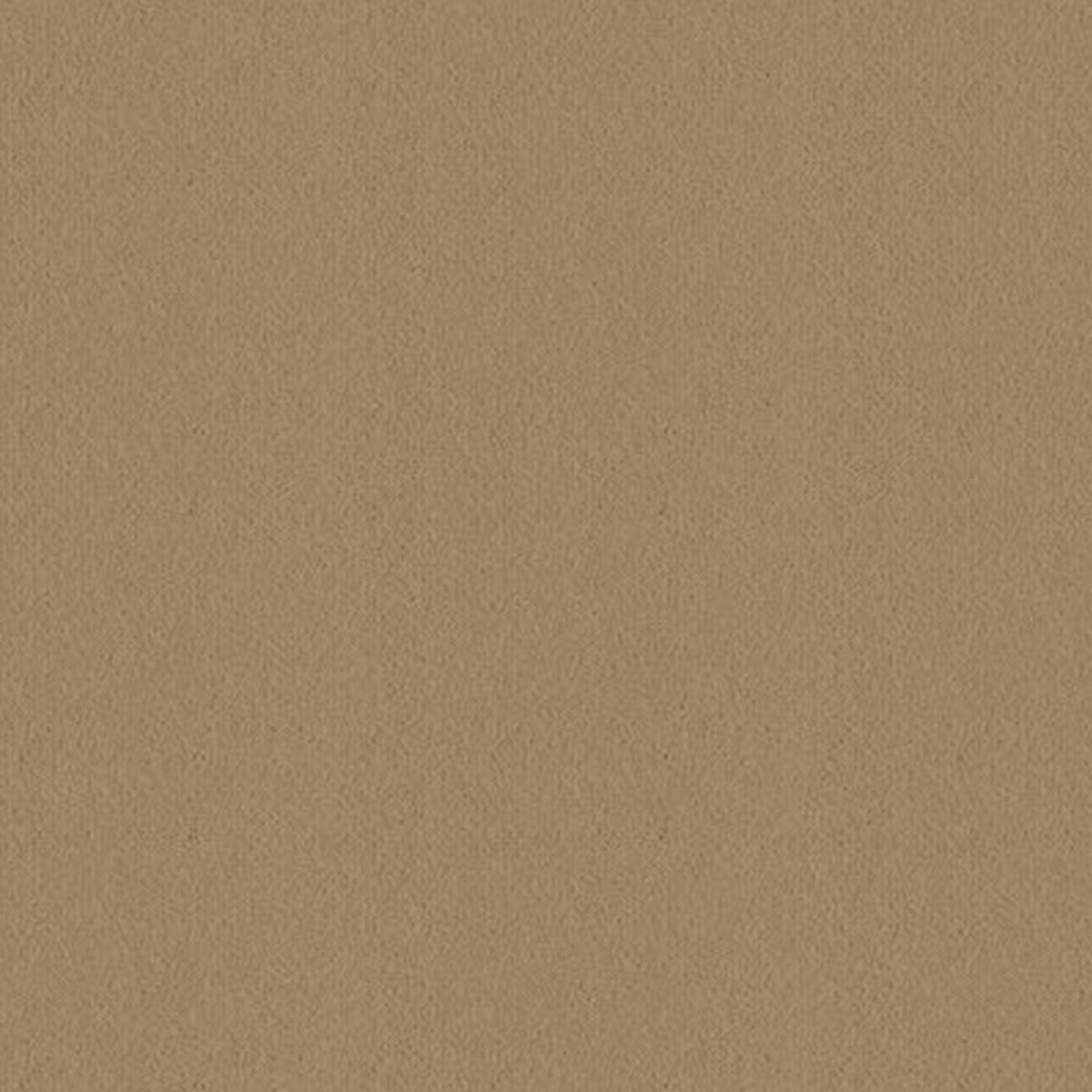 Velvet Carpet - Ulster