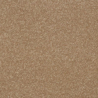 Smart Atilius Carpet