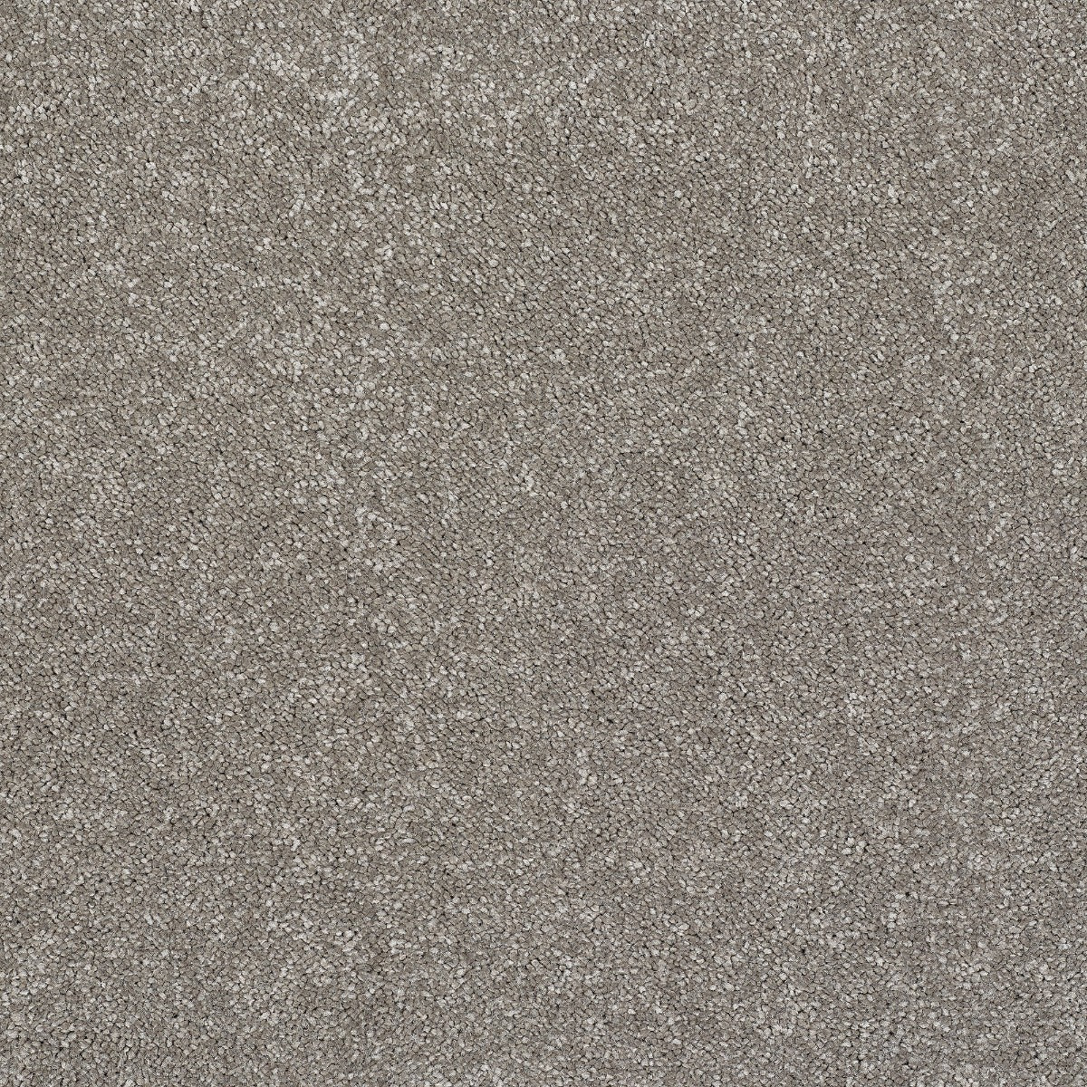 Finesse Carpet