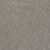 Finesse Carpet