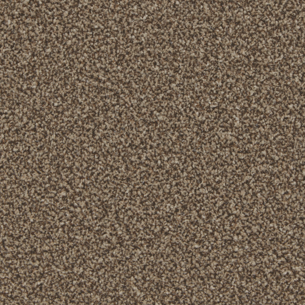 Portmore Classic 34oz Carpet