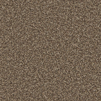 Portmore Classic 34oz Carpet