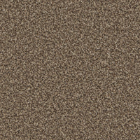 Portmore Elite 42oz Carpet